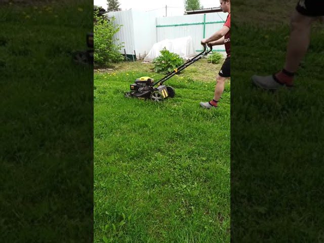 Ландшафтні дизайнери розповіли, як правильно формувати газон