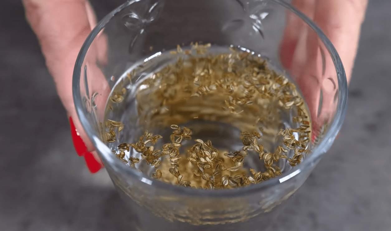 Городники розповіли про новий метод посадки петрушки