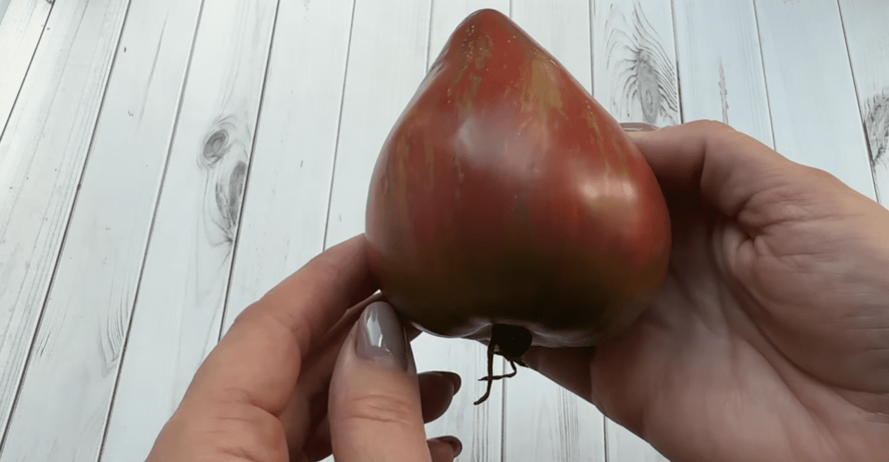 Садівники назвали найкращі сорти солодких томатів зі смаком фруктів