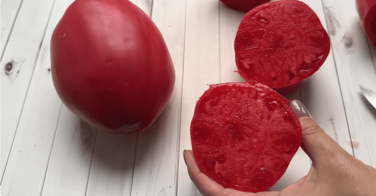 Садоводи розповіли, який сорт помідорів підкорив їх найбільше минулого року