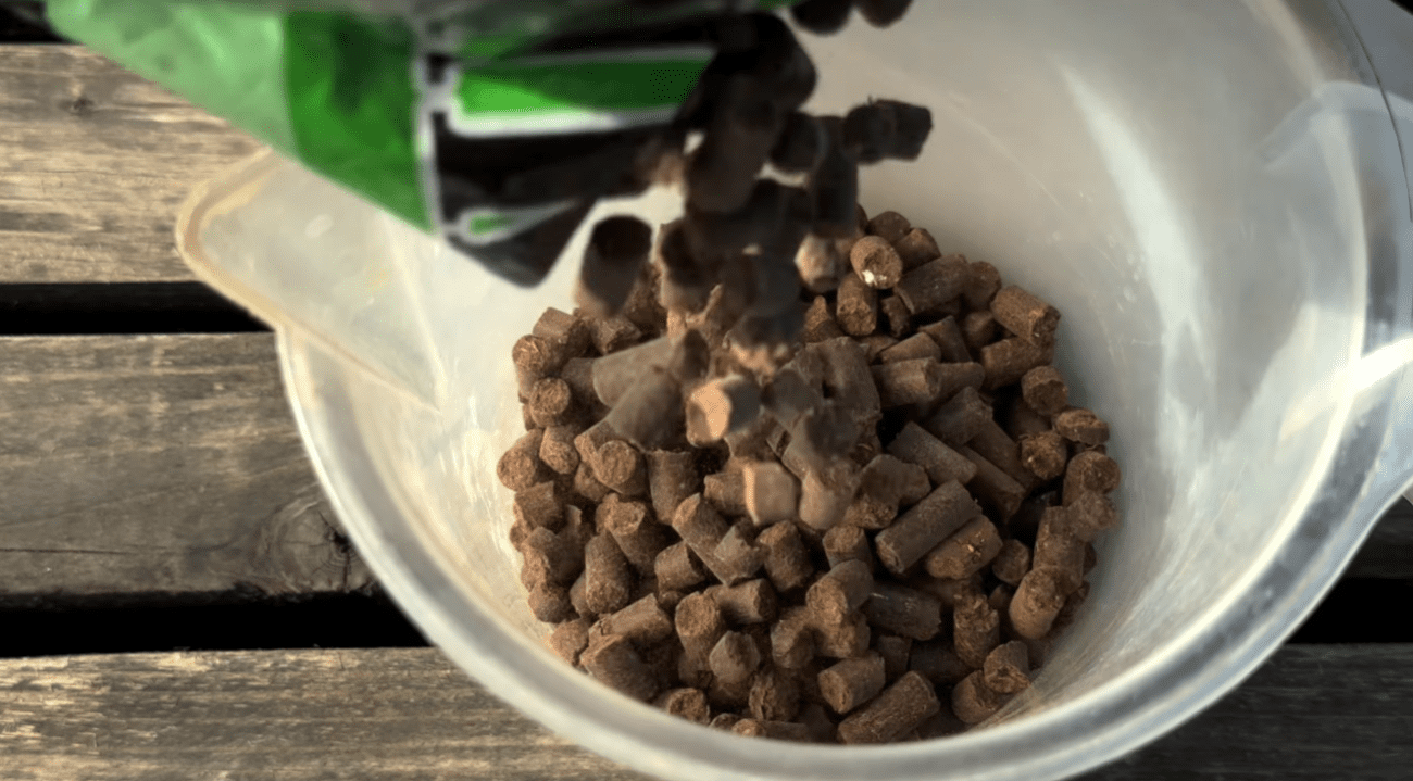 Садівники розповіли, що потрібно зробити з ожиною навесні Фото: YouTube Корисні Корисності Садівники розповіли, що потрібно зробити з ожиною навесні Фото: YouTube Корисні Корисності