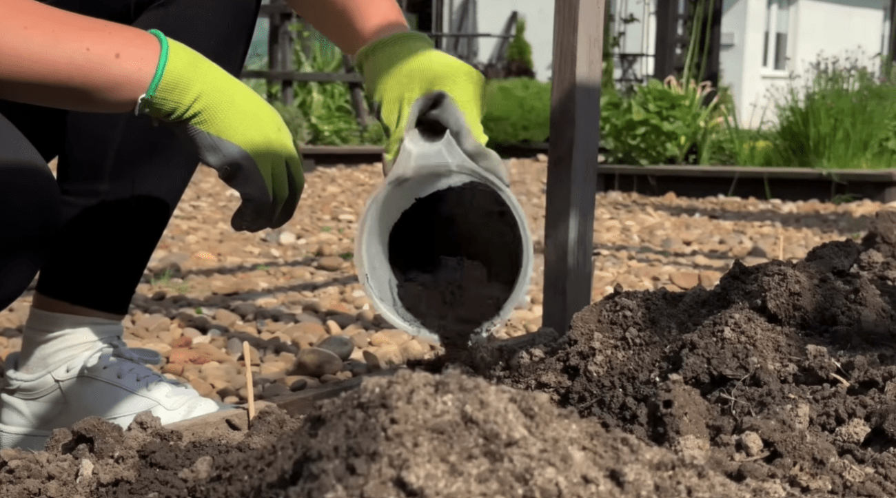 Як не витрачати гроші на дорогі добрива – рішення лежить прямо на кухні Фото: YouTube Корисні Корисності