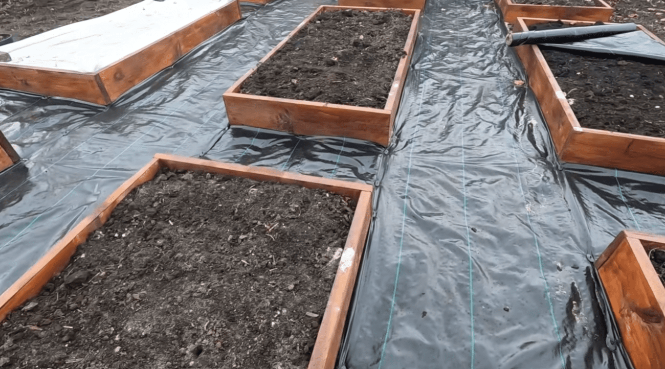 Як швидко, дешево та без бруду зробити найкращі доріжки для городу Фото: YouTube Наша дача