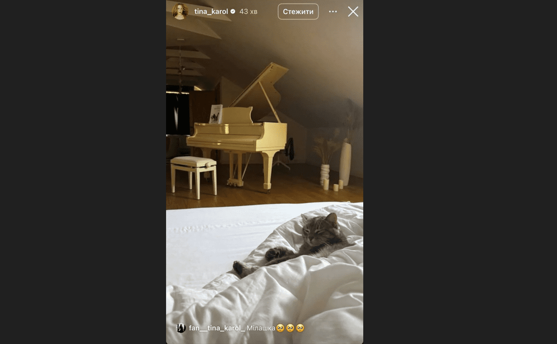 Тіна Кароль похвалилася дизайном своєї спальні з роялем Фото: скриншот з Инстаграм Тіни Кароль