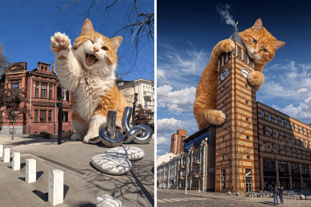 Велетенські коти у Дніпрі. Фото: Instagram kustdnipro