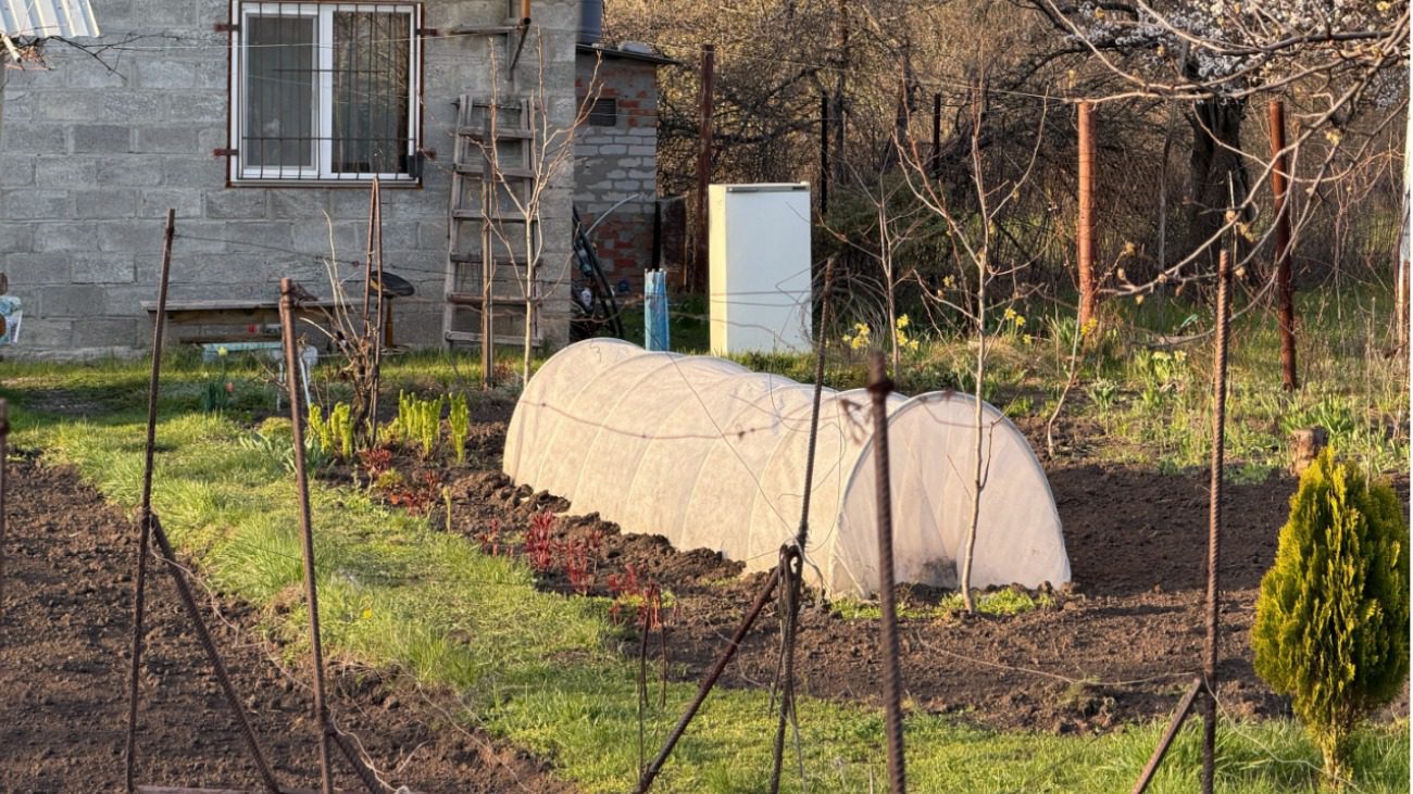 Садівник розповів, яке підживлення 100% працює по холодній землі Фото: Сенсація