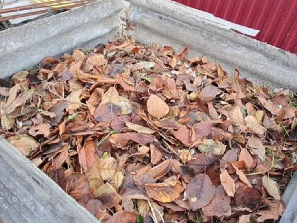 Рецепт компосту із листя в мішках. Фото: Youtube канал Вирощування рослин