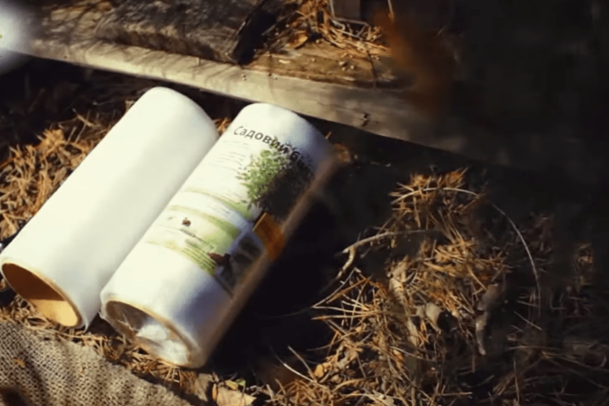 Садівники розсекретили, як ефективно захистити кору яблунь без побілки дерева. Фото з YouTube-каналу @ДімСадГород