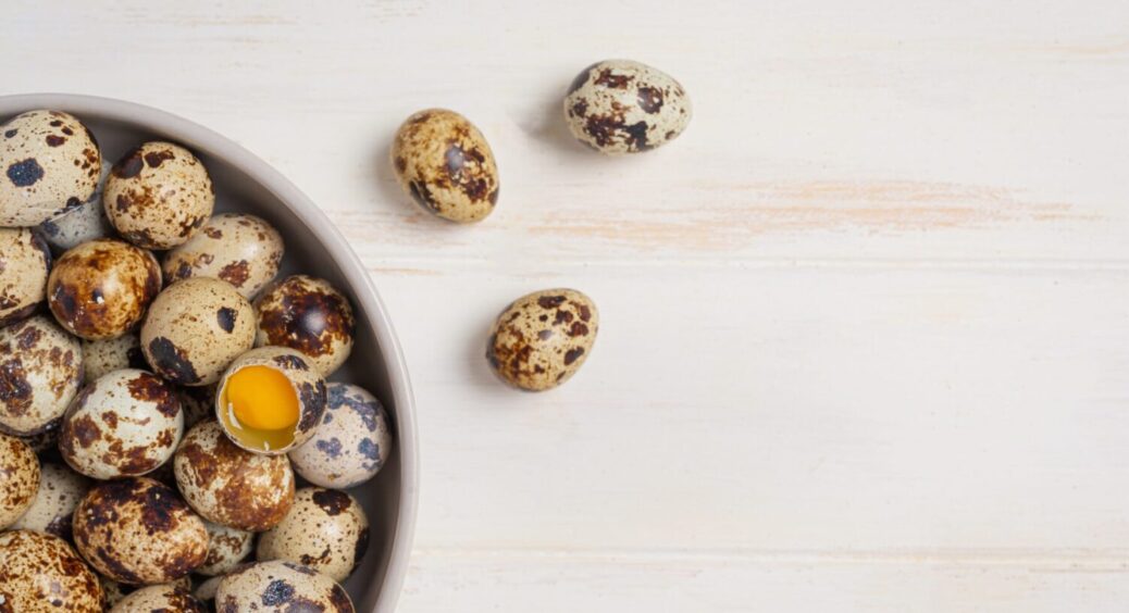 Дуже корисні та бюджетні: чому перепелині яйця набагато кращі за курячі – факти 