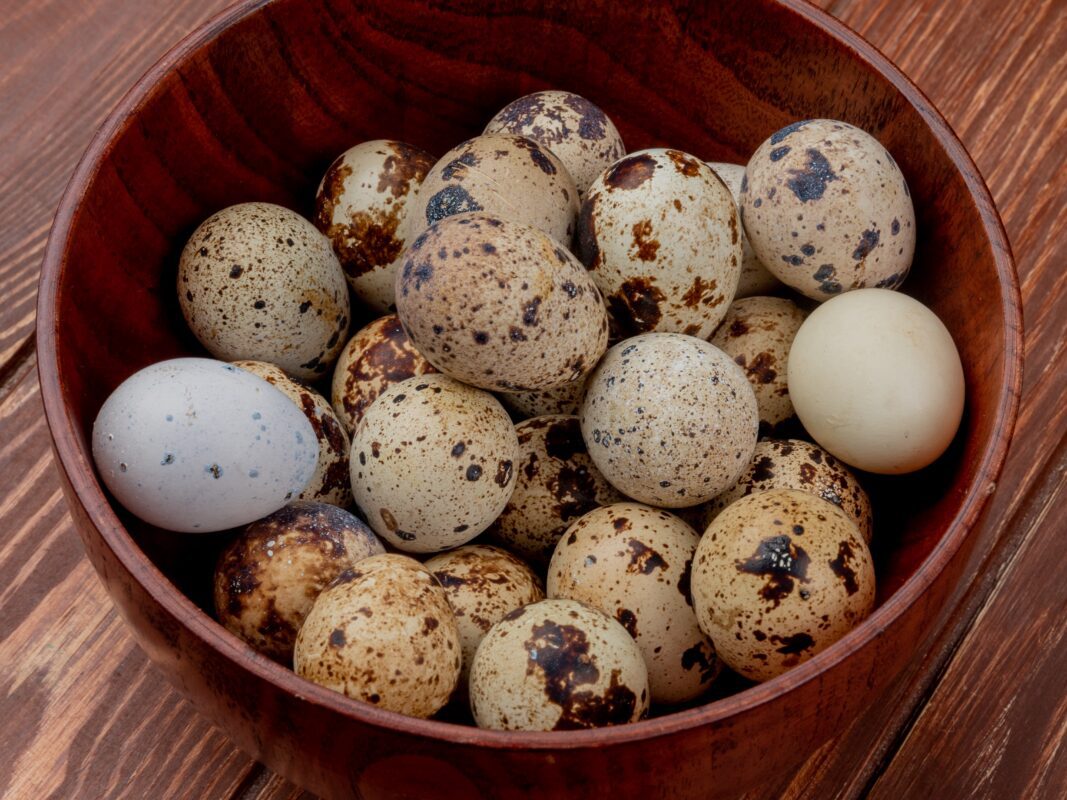 Нутриціологи розповіли, в чому користь перепелиних яєць і з чим їх їсти. Фото: Magnific