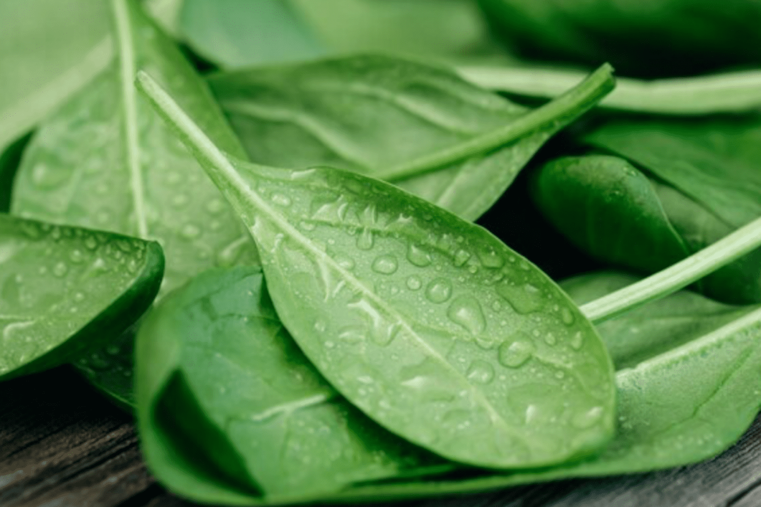 Нутриціологи назвали найкорисніші види зелені, які замінюють БАДи. Фото: Freepik