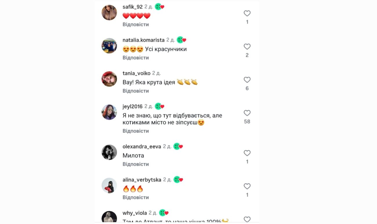 Велетенські коти у Дніпрі. Фото: Instagram kustdnipro