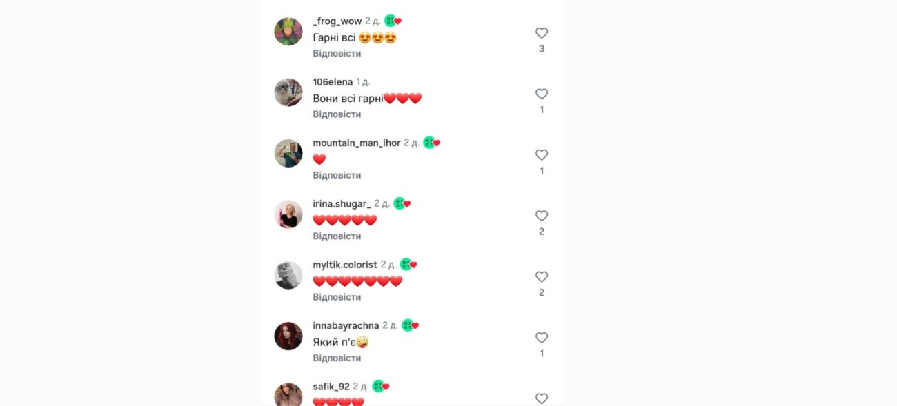 Велетенські коти у Дніпрі. Фото: Instagram kustdnipro