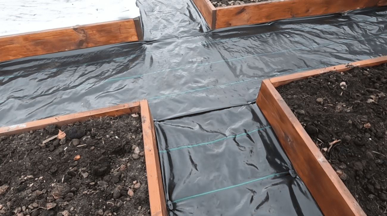 Дачники розповіли, які грядки та доріжки краще зробити на городі у 2026 році Фото: YouTube Наша дача! Дачники розповіли, які грядки та доріжки краще зробити на городі у 2026 році Фото: YouTube Наша дача!