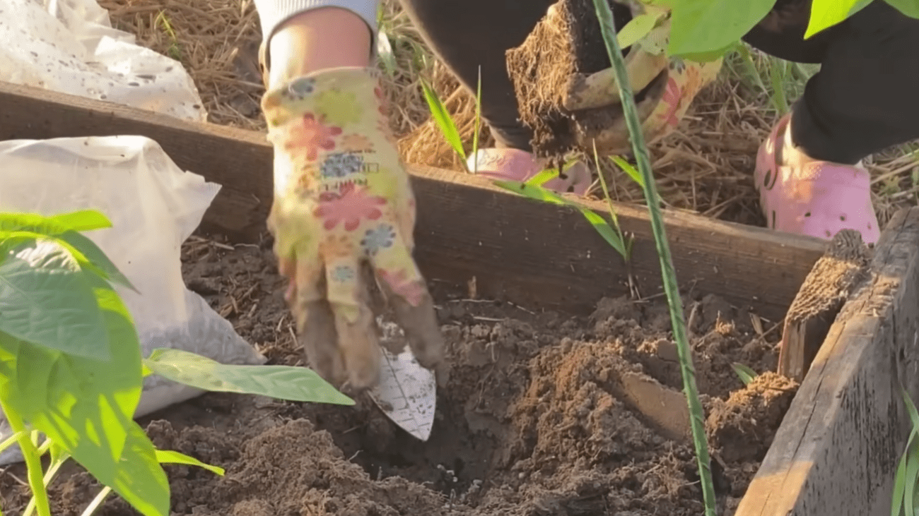 Експерти відповіли, чи справді не можна зараз копати город Фото: Зелена садиба