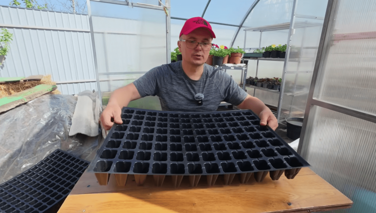 Городники розповіли, як потрібно правильно сіяти низькорослі томати у касети Фото: Ютуб-канал Наша дача