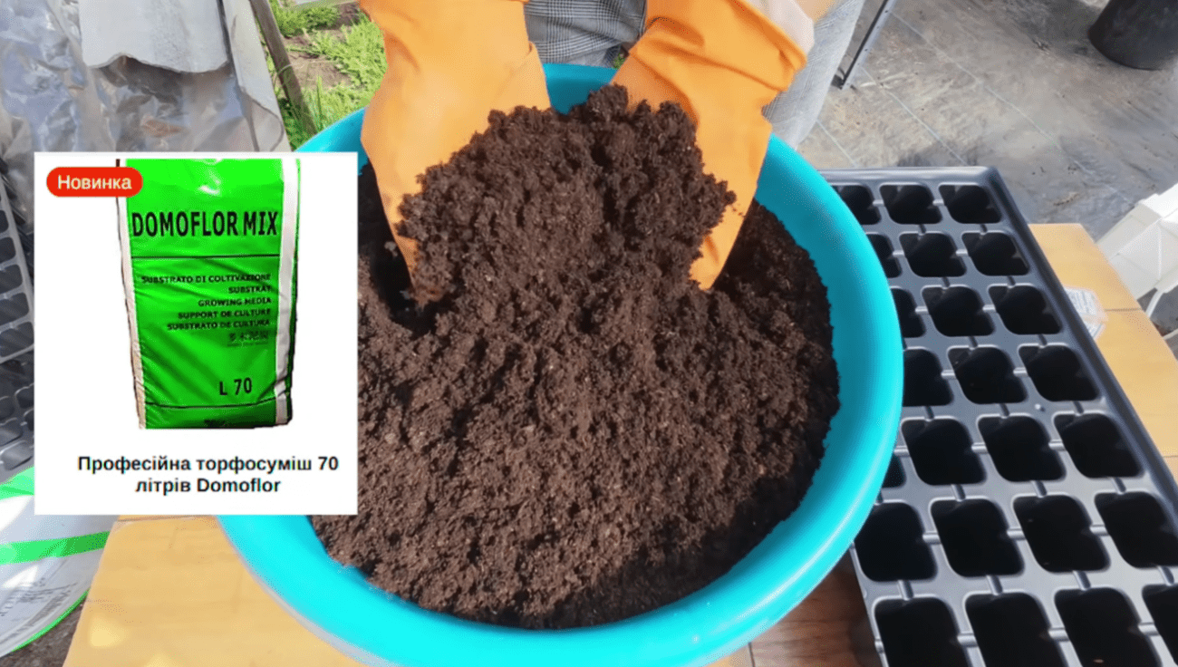 Городники розповіли, як потрібно правильно сіяти низькорослі томати у касети Фото: Ютуб-канал Наша дача