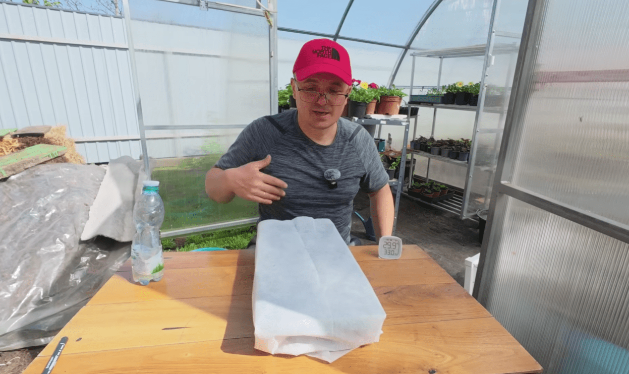 Городники розповіли, як потрібно правильно сіяти низькорослі томати у касети Фото: Ютуб-канал Наша дача